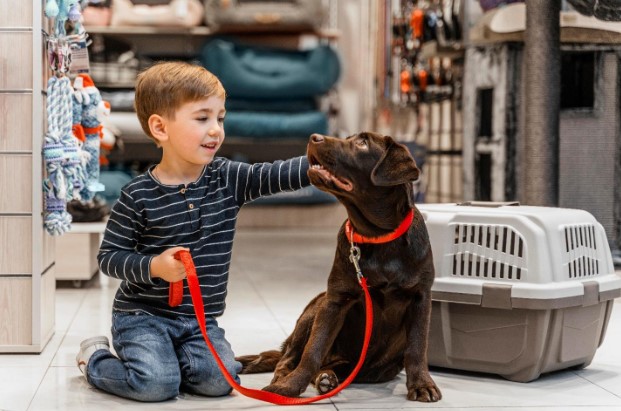 Services Offered in Dog Boarding Services Offered in Dog Boarding